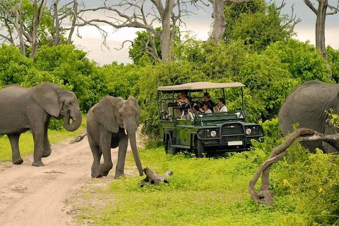 Livingstone_ Chobe N