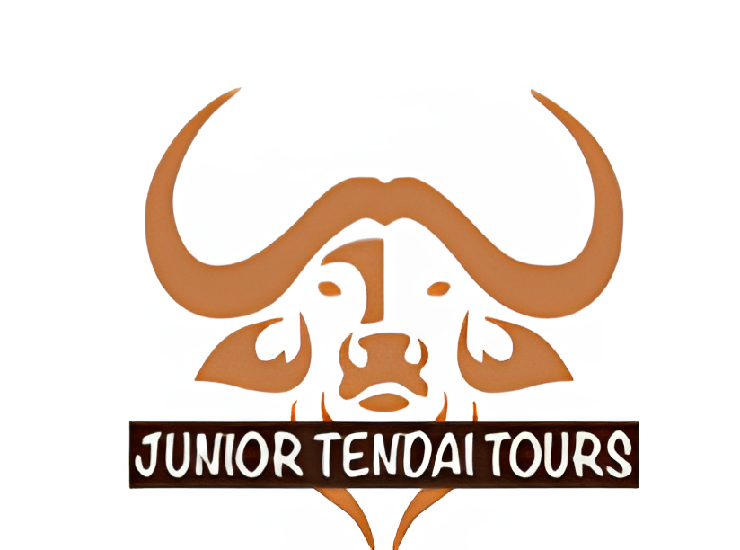 jnr t (1)