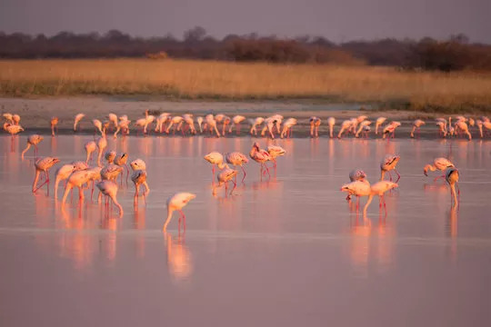 makgadikgadi